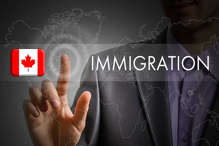 Immigration Consultant In Canada How Much They Charge Kang Immigration